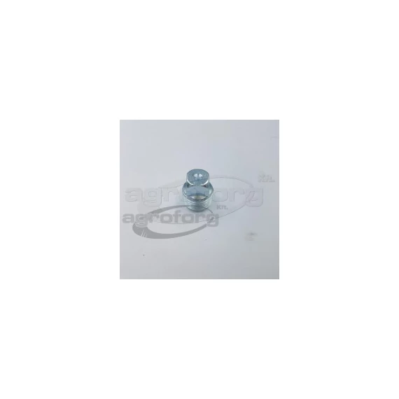 Csavar Loncin 1P85FA olajleeresztő